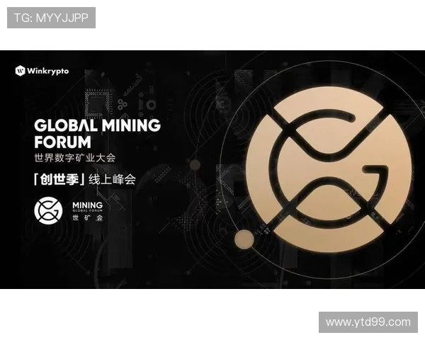 北京网球队运营全景解析：深度探讨其成功背后的策略与挑战