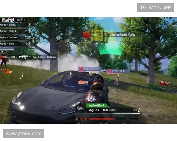 和平精英意识排行榜最新出炉WE战队荣登第九名引发热议