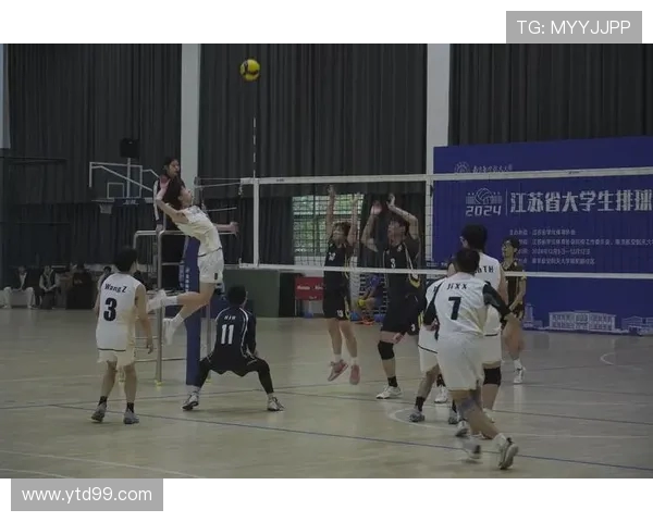 广州排球队的节奏与魅力探索：排球运动的热情与团队精神